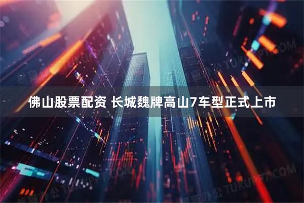佛山股票配资 长城魏牌高山7车型正式上市